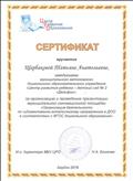 Сертификат  за организацию и проведение презентации МИП "Организация деятельности по художественно-эстетическому направлению в ДОО в соответствии с ФГОС ДО" 2016