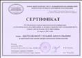 Сертификат IX Областной научно-практической конференции "Эстетическое воспитание в дошкольном образовании НСО: опыт, проблемы, перспективы", НИПКиПРО, апрель 2017 года