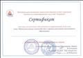 Сертификат участника методического объединения по коррекционной педагогике 14 февраля 2017 года 